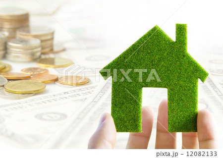 Hand holding eco house icon  Hand holding eco house icon  12082133