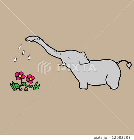 Elephant watering flowers Elephant watering flowers 12082203