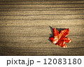 foliage, autumn leaves 12083180