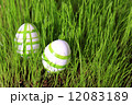 easter eggs in grass 12083189