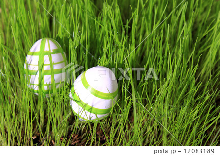 easter eggs in grass 12083189