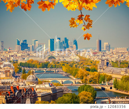Aerial view of Paris 12083356