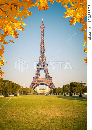 Eiffel Tower 12083373