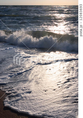 Coast and evening sunlight path 12083693