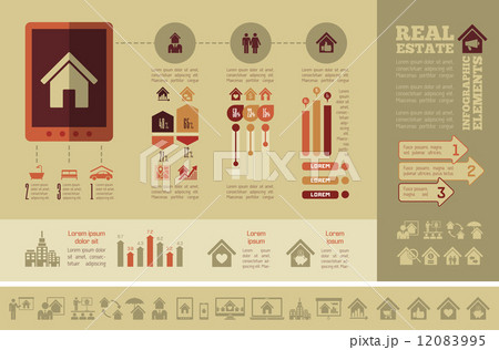 Real Estate Infographics. Real Estate Infographics. 12083995