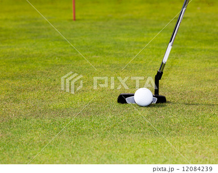Golf Golf 12084239