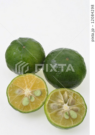 シークワーサー 12084298