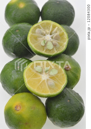 シークワーサー 12084300