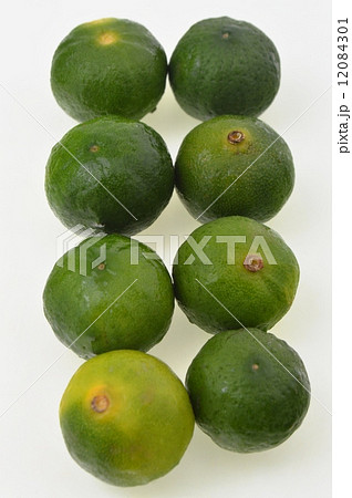 シークワーサー 12084301