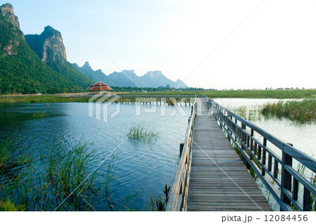 Wooden Bridge in lotus lake at khao sam roi yod national park, t 12084456