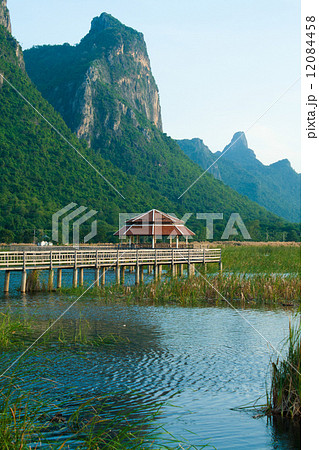 Wooden Bridge in lotus lake at khao sam roi yod national park, t Wooden Bridge in lotus lake at khao sam roi yod national park, t 12084458