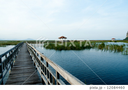 Wooden Bridge in lotus lake at khao sam roi yod national park, t Wooden Bridge in lotus lake at khao sam roi yod national park, t 12084460