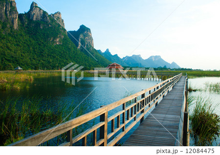Wooden Bridge in lotus lake at khao sam roi yod national park, t 12084475