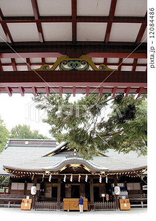 大国魂神社 12084486