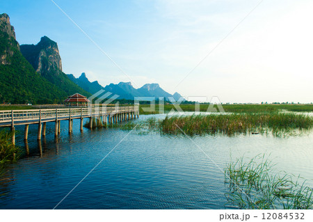 Wooden Bridge in lotus lake at khao sam roi yod national park, t 12084532