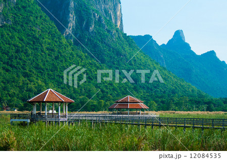 Wooden Bridge in lotus lake at khao sam roi yod national park, t Wooden Bridge in lotus lake at khao sam roi yod national park, t 12084535
