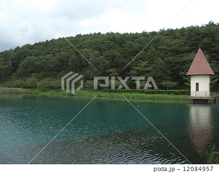 緑が池 12084957