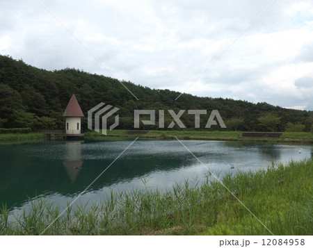 緑が池 12084958