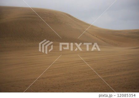鳥取砂丘 鳥取砂丘 12085354