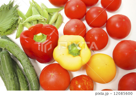 野菜 12085600