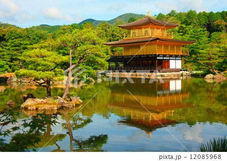 金閣寺 金閣寺 12085968