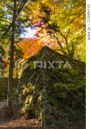 高取城址　石垣と紅葉（縦位置） 12086410
