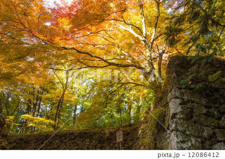 高取城址　石垣と紅葉（横位置）2 12086412