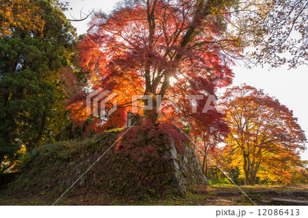 高取城址　石垣と紅葉／黄葉（横位置） 12086413