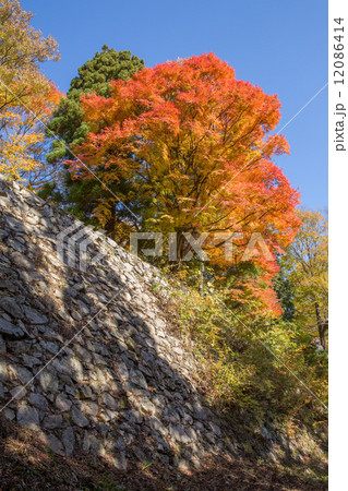 高取城址　石垣と紅葉（縦位置）2 12086414
