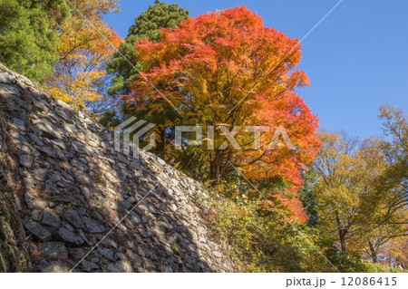 高取城址　石垣と紅葉（横位置）3 12086415