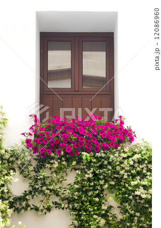 Typical Window decorated Pink and White Flowers, Cordoba, Spain 12086960