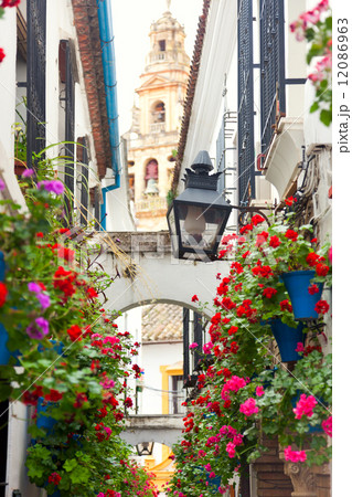 Famos Street Flowers decorated, Cordoba, Spain, Mediterranean Eu 12086963