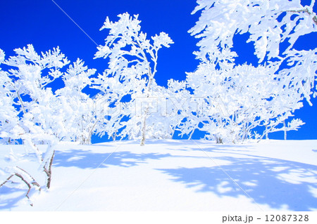 森吉山の霧氷 12087328