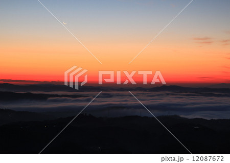 雲海869 雲海869 12087672