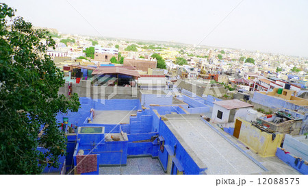 ジョードプル町並み 12088575