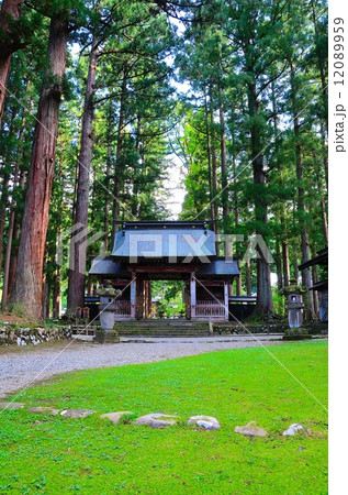 雲洞庵　赤門 12089959