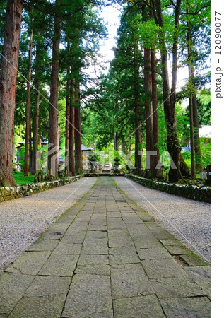 雲洞庵　参道（赤門から本堂を望む） 12090077