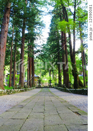 雲洞庵　参道（赤門から本堂を望む） 12090081