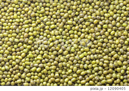 緑豆 12090405