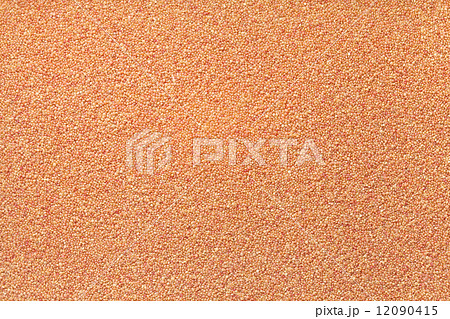 赤アマランサス 12090415