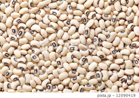 黒目豆 黒目豆 12090419