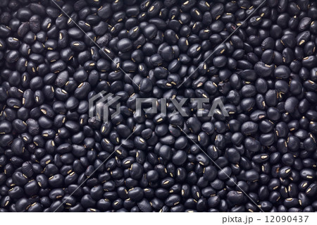 黒ささげ(黒小豆) 黒ささげ(黒小豆) 12090437