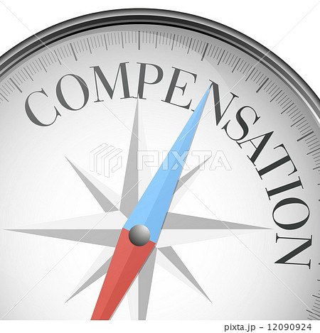 compass compensation 12090924