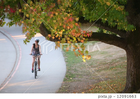 紅葉と自転車に乗る女性 紅葉と自転車に乗る女性 12091663