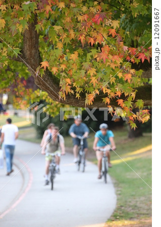 紅葉と自転車に乗る人達 12091667