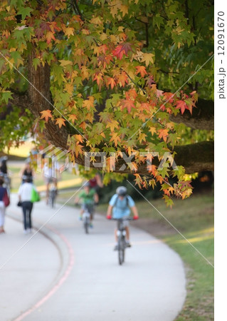 紅葉と自転車に乗る人達 紅葉と自転車に乗る人達 12091670