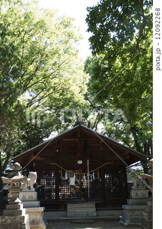 伊和神社（いわじんじゃ）の本殿 12092268