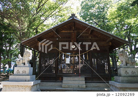 伊和神社(いわじんじゃ)の本殿 伊和神社(いわじんじゃ)の本殿 12092269