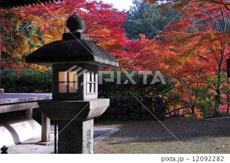 京都愛宕念仏寺の紅葉風景 京都愛宕念仏寺の紅葉風景 12092282