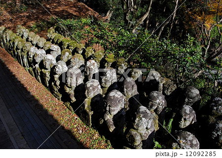 京都愛宕念仏寺の羅漢さんの風景 12092285